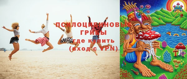 спайс Алексин