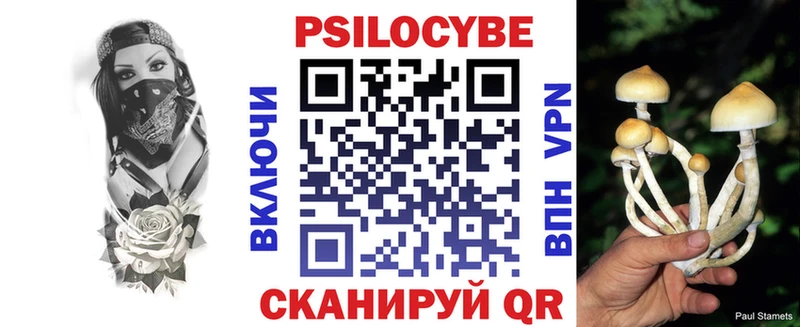 Галлюциногенные грибы прущие грибы  Пушкино 
